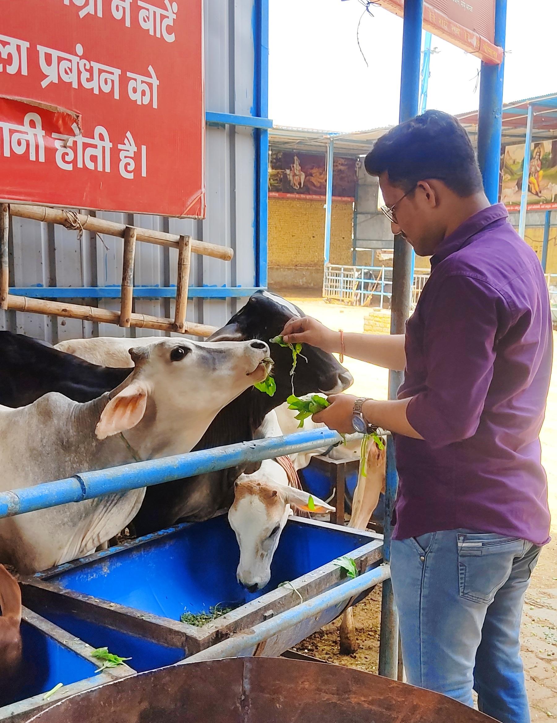 गौ सेवा ही राष्ट्र सेवा है 